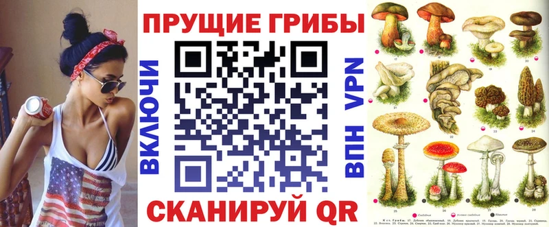 Купить где  Советск  Псилоцибиновые грибы GOLDEN TEACHER 