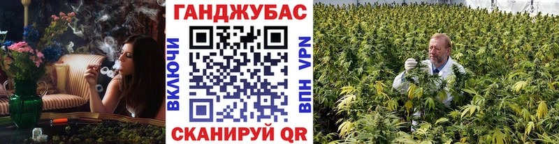 Купить закладки  Советск  Бошки марихуана Ganja 